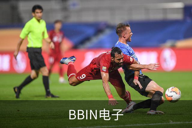 BBIN电子公司简介图片